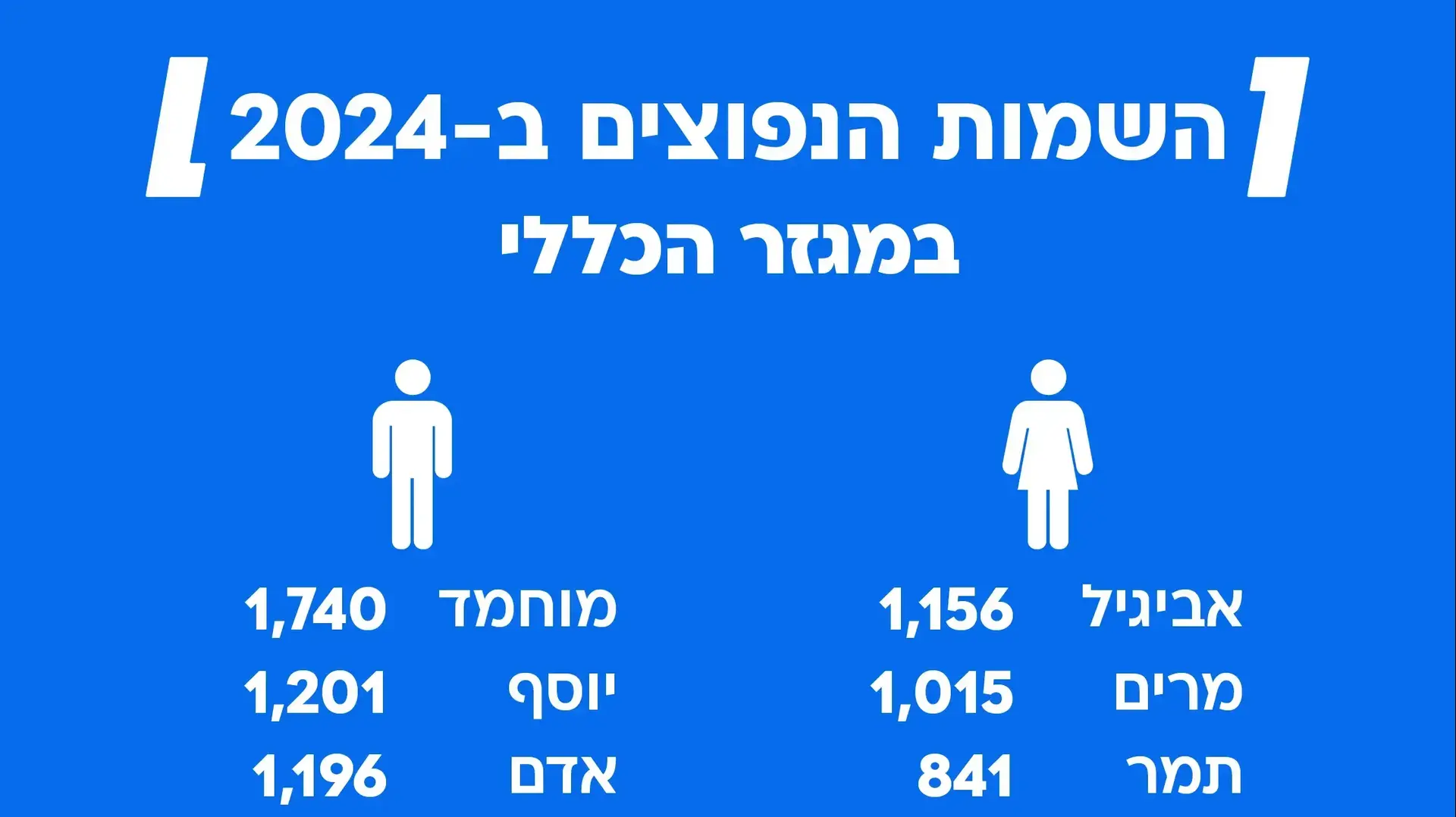 השמות הנפוצים ב-2024 במגזר הכללי השמות הנפוצים ב-2024 במגזר הכללי