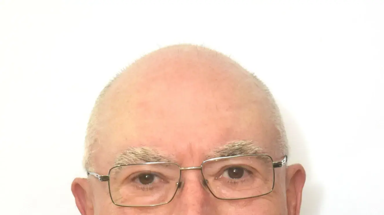 נצ"מ בדימוס אבי דוידוביץ נצ"מ בדימוס אבי דוידוביץ