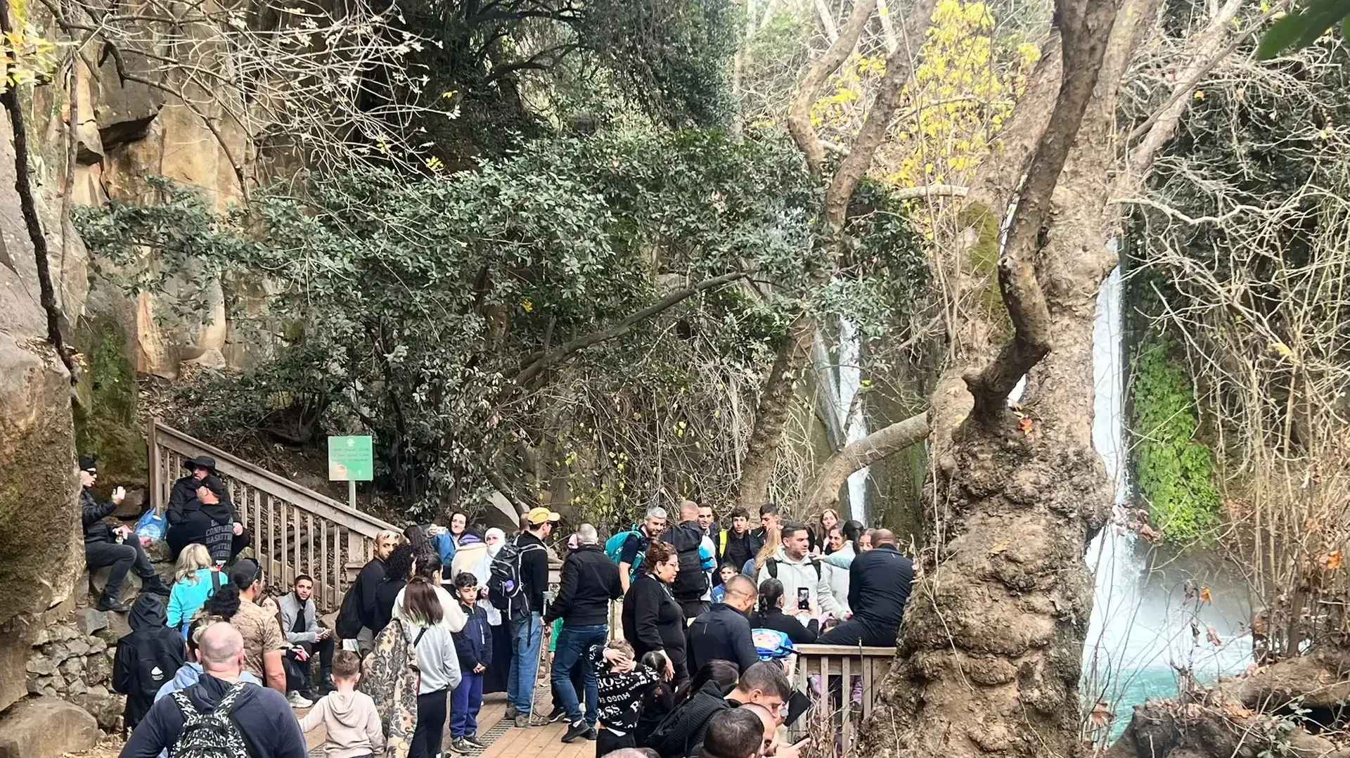 השביל התלוי, שמורת טבע נחל חרמון- בניאס. 4 בינואר 2024 השביל התלוי, שמורת טבע נחל חרמון- בניאס. 4 בינואר 2024