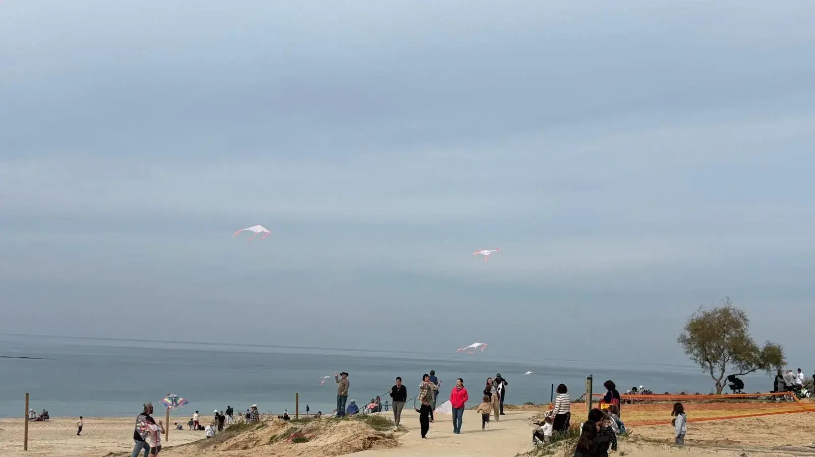 מטיילים מעיפים עפיפונים בגן לאומי חוף פלמחים. 4 בינואר 2024 מטיילים מעיפים עפיפונים בגן לאומי חוף פלמחים. 4 בינואר 2024