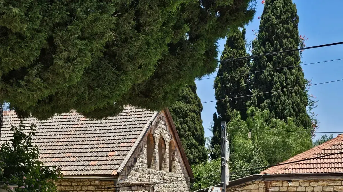 אתר השיחזור בראש פינה אתר השיחזור בראש פינה