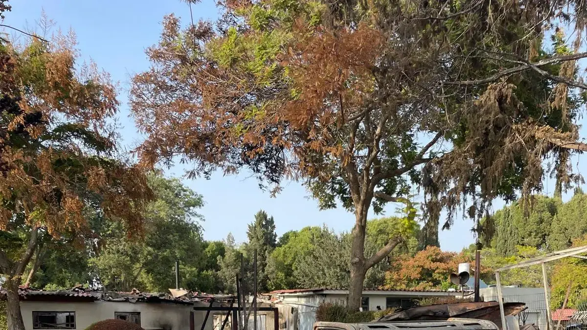 הרס ושיקום, קיבוץ רעים הרס ושיקום, קיבוץ רעים