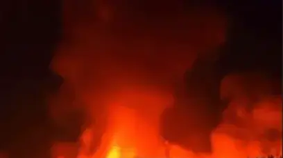 שריפה השתוללה סמוך לשלט הוליווד, קליפורניה, 9 בדצמבר 2024