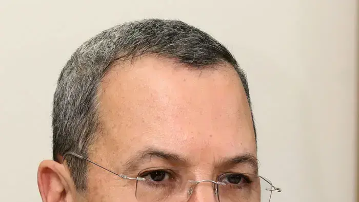 שר הביטחון אהוד ברק, מפלגת העבודה 