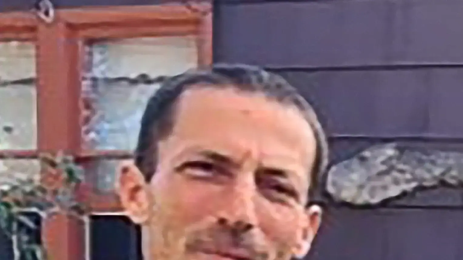 אביב אצילי אביב אצילי