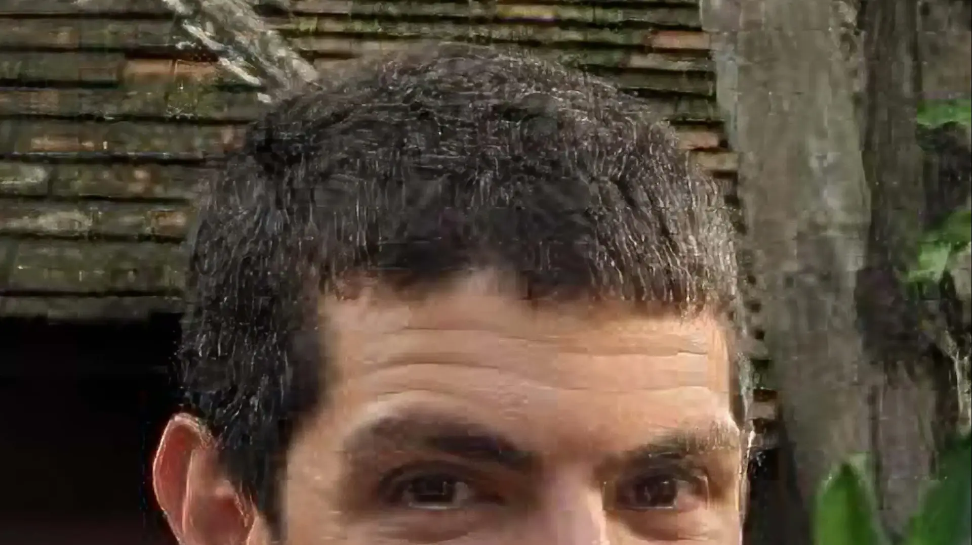 אור לוי אור לוי