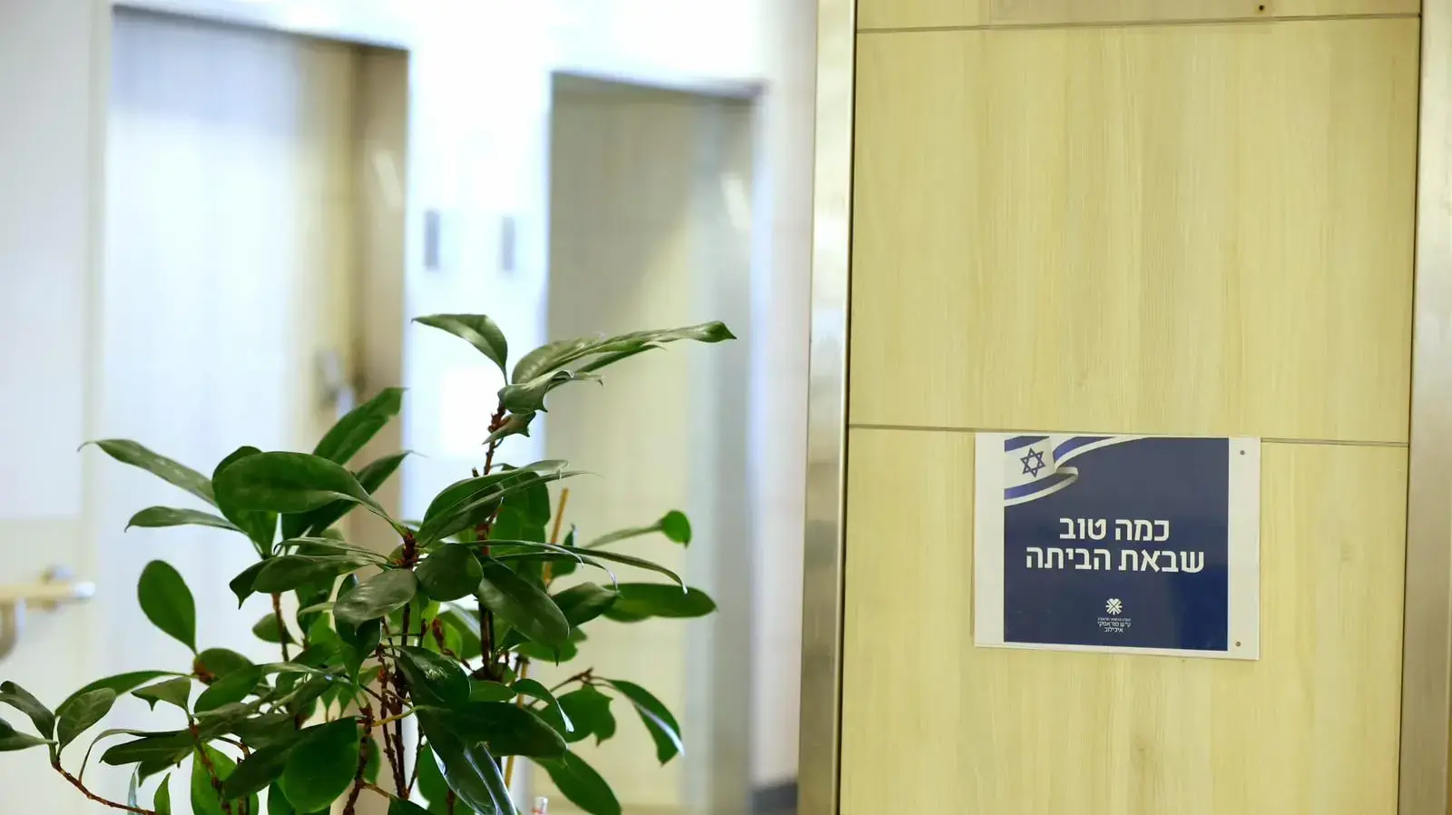 חדרי קבלת השבים לקראת הגעת החטופים, במרכז הרפואי ת״א איכילוב חדרי קבלת השבים לקראת הגעת החטופים, במרכז הרפואי ת״א איכילוב