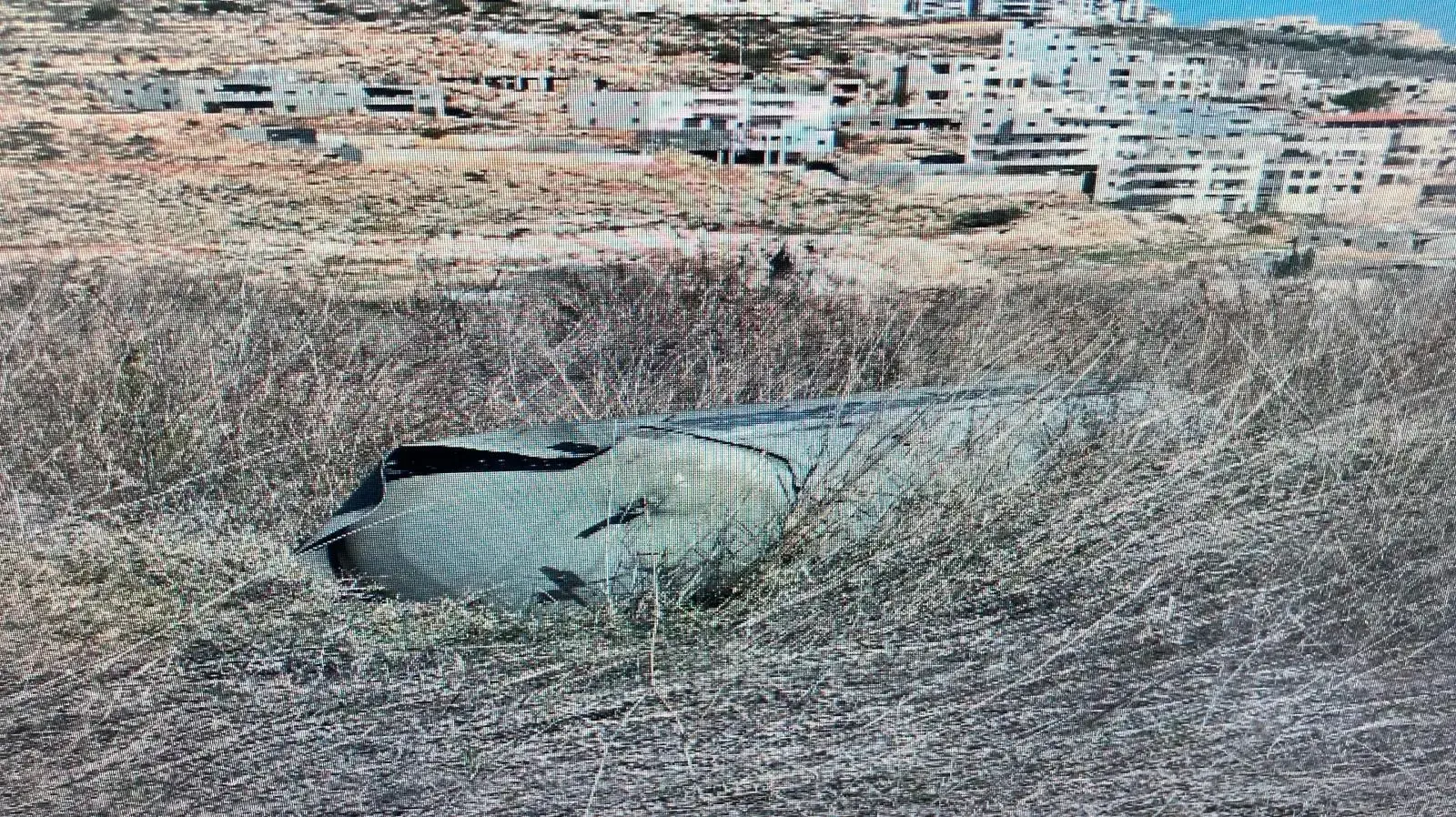 שבר יירוט סמוך לבית"ר עילית. 18 בינואר 2025 שבר יירוט סמוך לבית"ר עילית. 18 בינואר 2025