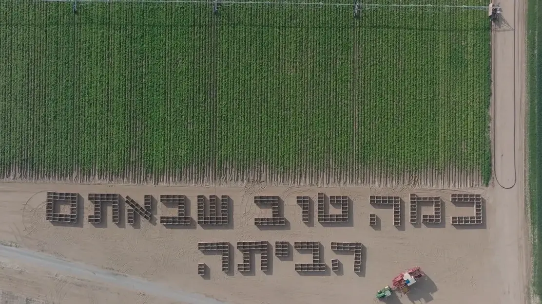 שדה חקלאי עם כיתוב כמה טוב שבאת הביתה , ניר עוז , 20 בינואר 2025 שדה חקלאי עם כיתוב כמה טוב שבאת הביתה , ניר עוז , 20 בינואר 2025