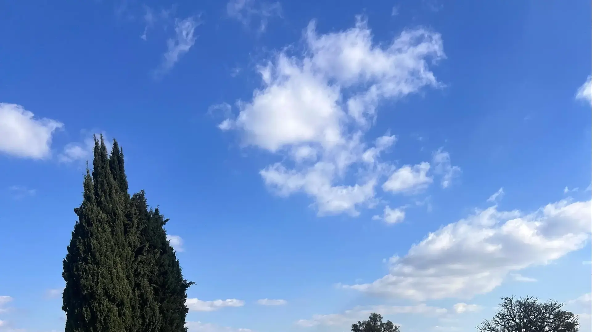 הצעירים החרדים שיובילו את המערכה: חניכי המכינה החרדית "ניצוץ באמונה" יצאו לשבוע צבא בשטח. 21 בינואר 2025 הצעירים החרדים שיובילו את המערכה: חניכי המכינה החרדית "ניצוץ באמונה" יצאו לשבוע צבא בשטח. 21 בינואר 2025
