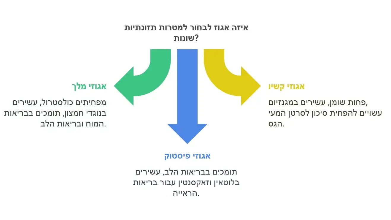 יתרונות של אגוזים יתרונות של אגוזים