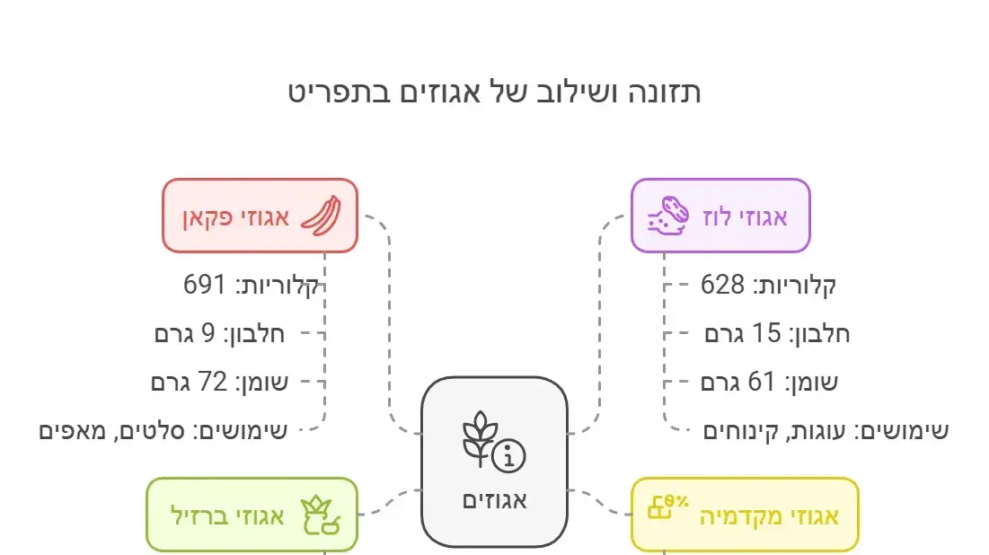 יתרונות של אגוזים יתרונות של אגוזים