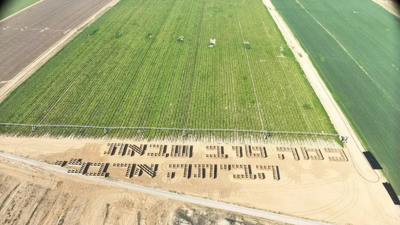 כמה טוב שבאת הביתה ארבלי כמה טוב שבאת הביתה ארבלי