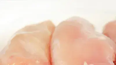 חזה עוף חזה עוף