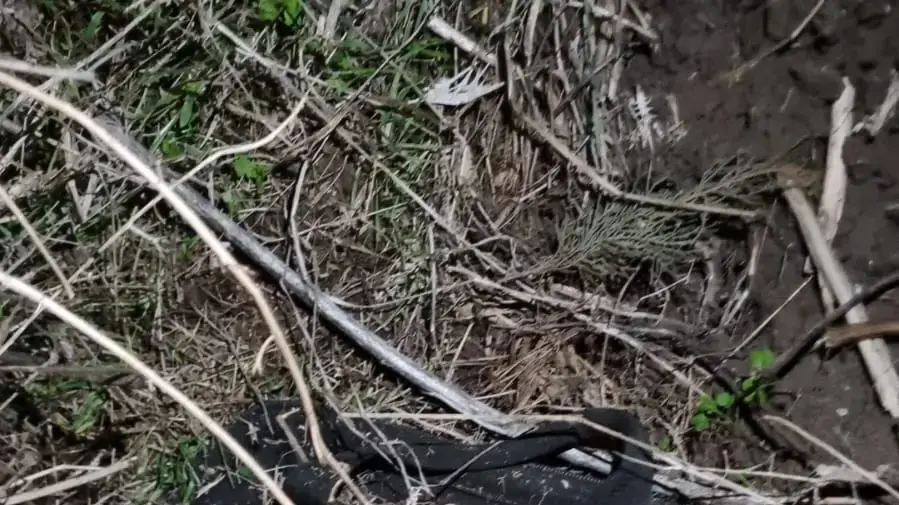 נזק של חוליית פרוטקשן מטובא זנגריה נזק של חוליית פרוטקשן מטובא זנגריה