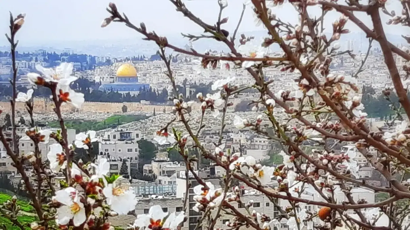 שקדיה גן לאומי עמק צורים שקדיה גן לאומי עמק צורים