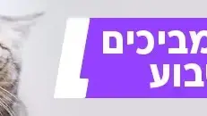 הרגעים המביכים