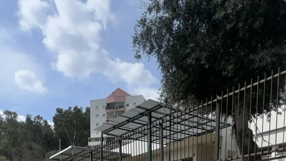 ערימות אשפה המצטרבות בעקבות חזרת התושבים לקריית שמונה ערימות אשפה המצטרבות בעקבות חזרת התושבים לקריית שמונה