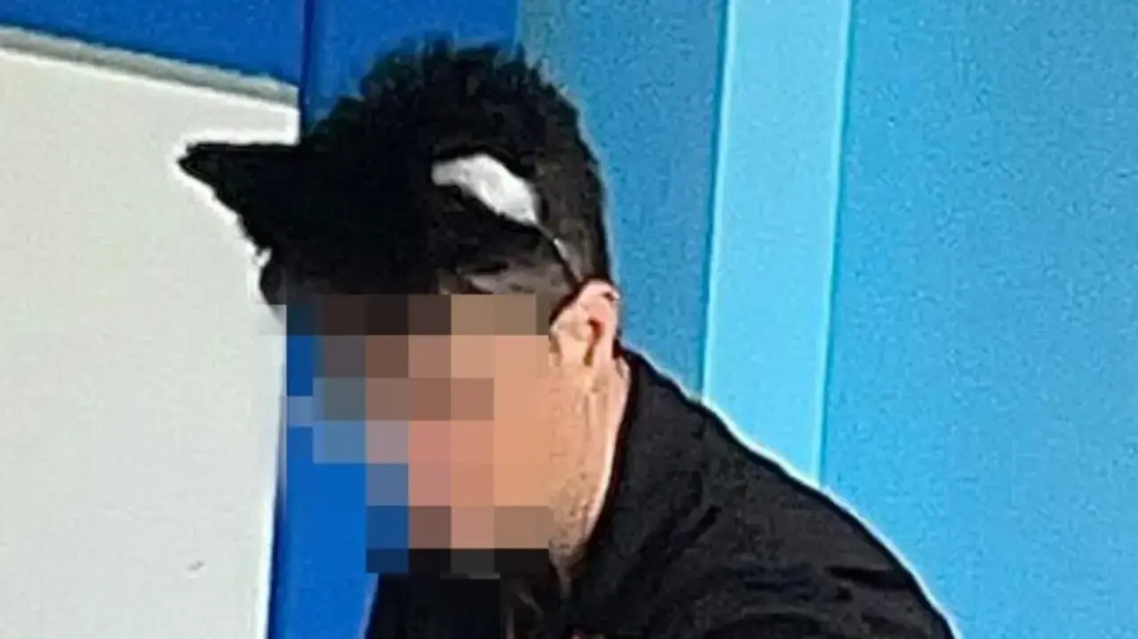המורה שמזדהה כחתול