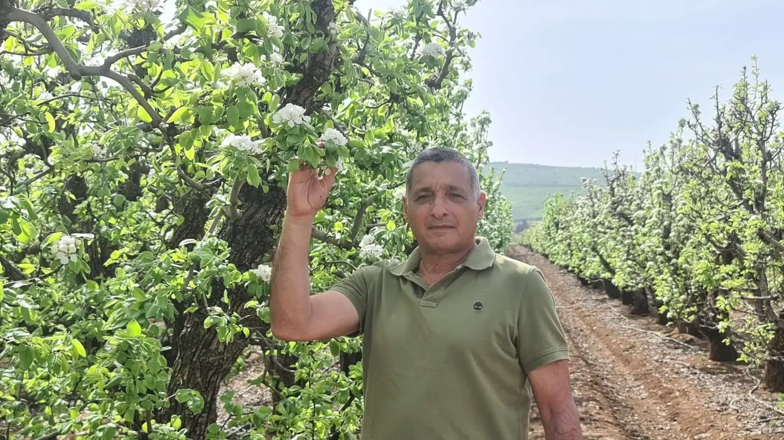 ירון בלחסן מנכ"ל ארגון מגדלי הפירות ירון בלחסן מנכ"ל ארגון מגדלי הפירות
