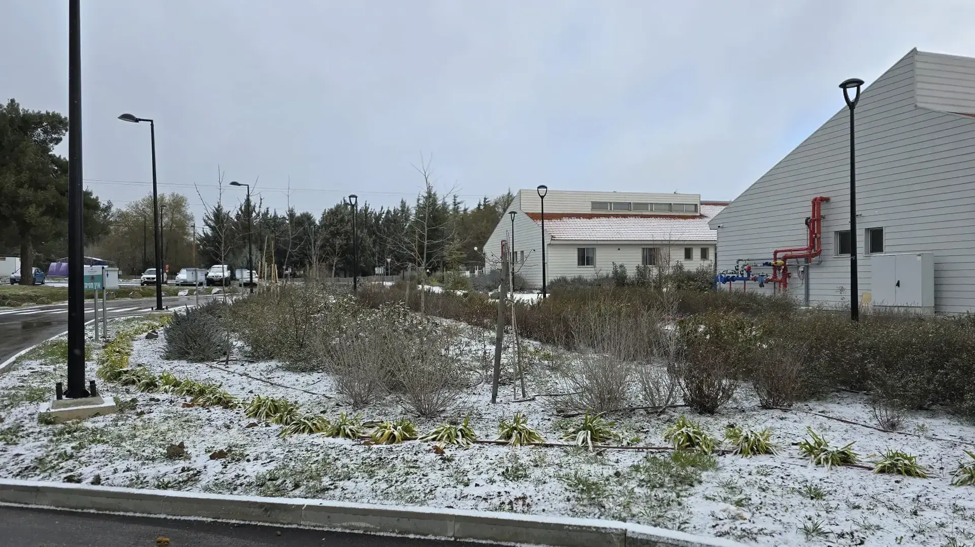 שלג בקיבוץ אלרום בצפון שלג בקיבוץ אלרום בצפון