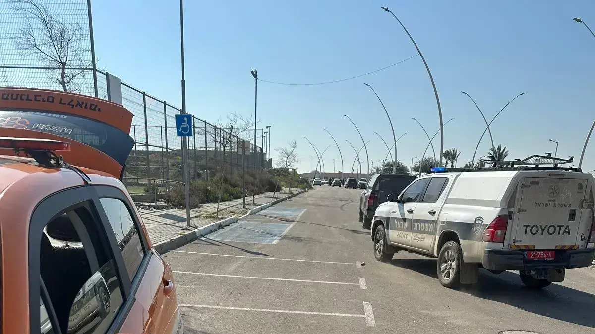 אלימות אלימות