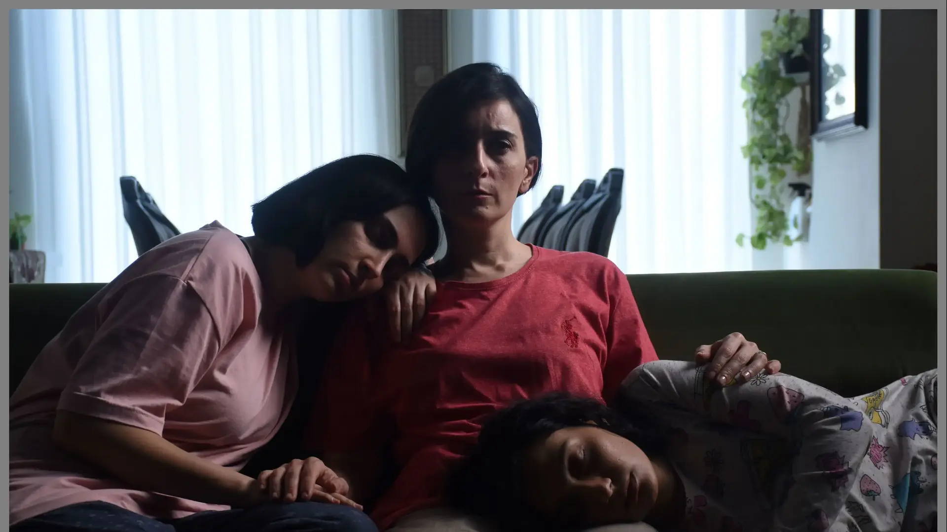 "זרע התאנה הקדושה" של מוחמד רסולוף "זרע התאנה הקדושה" של מוחמד רסולוף