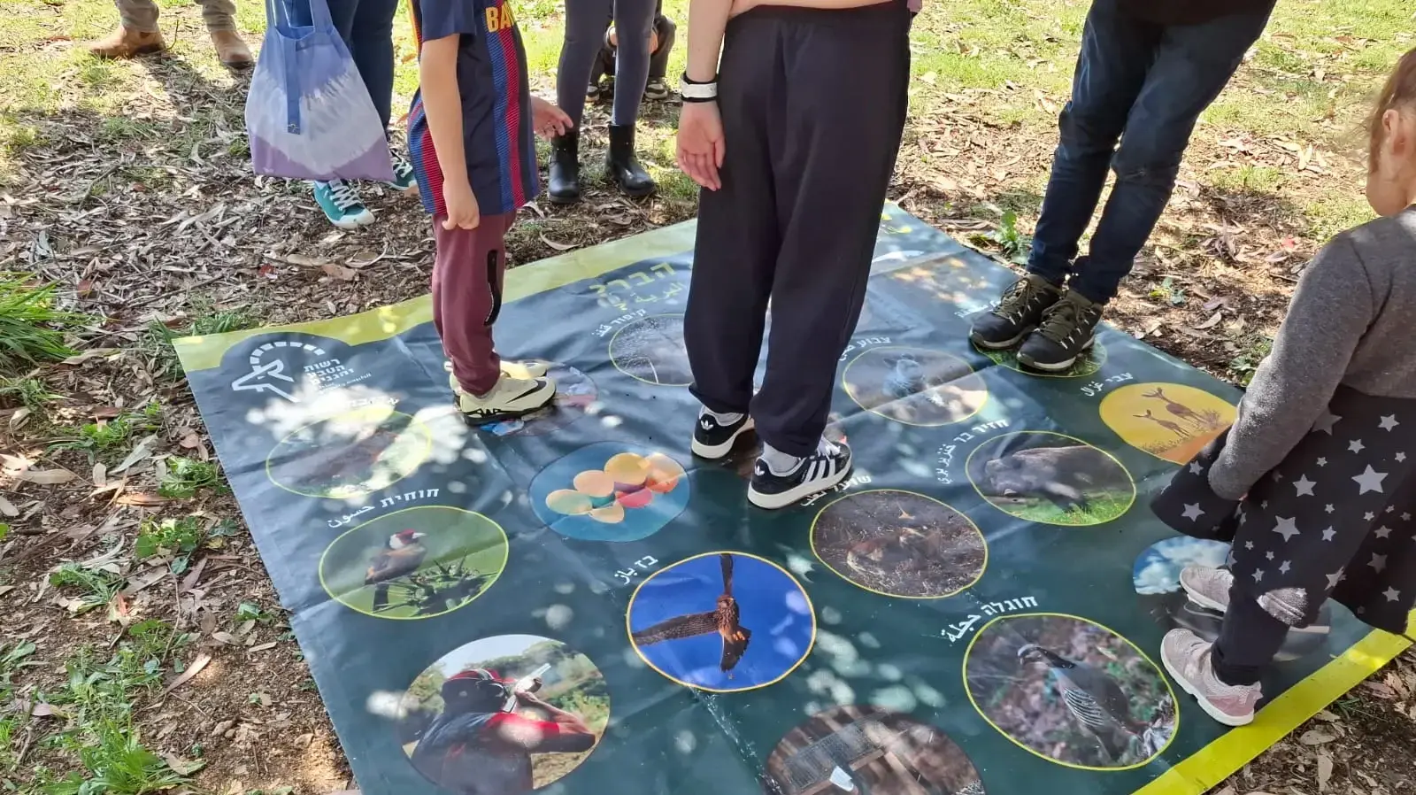 ביערות, בנחלים ובחופים: השבת האביבית הוציאה עשרות אלפי מטיילים לטבע ביערות, בנחלים ובחופים: השבת האביבית הוציאה עשרות אלפי מטיילים לטבע