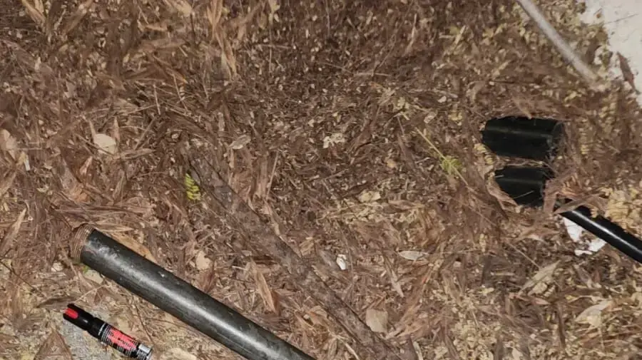 משטרת ישראל הודיעה: עשרות רעולי פנים נעצרו לפני המשחק בין הפועל תל אביב מול הפועל חולון משטרת ישראל הודיעה: עשרות רעולי פנים נעצרו לפני המשחק בין הפועל תל אביב מול הפועל חולון