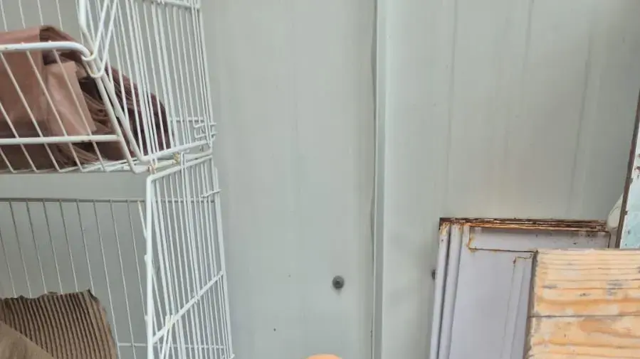 שוטרי תחנת לב תל אביב במרחב ירקון עצרו חשוד בגניבת פסל של דוד בן גוריון ממלון בת"א שוטרי תחנת לב תל אביב במרחב ירקון עצרו חשוד בגניבת פסל של דוד בן גוריון ממלון בת"א