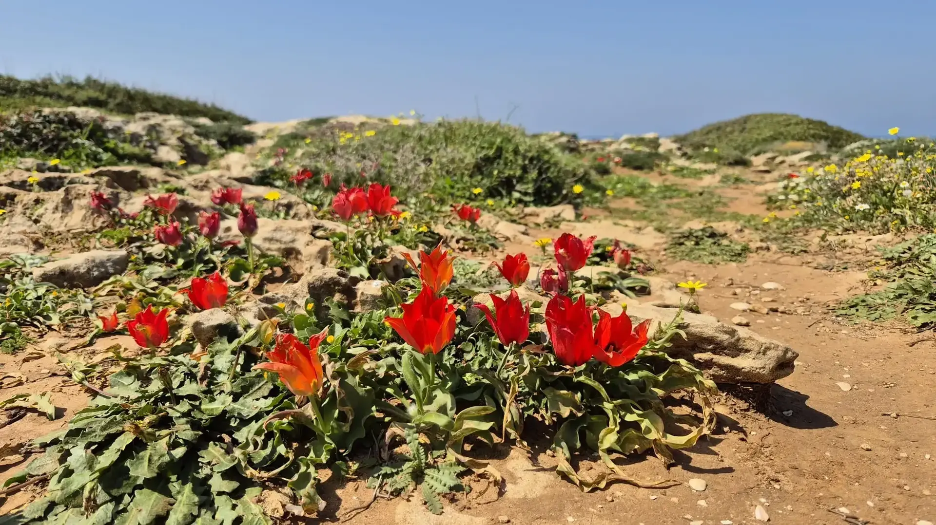 מטיילים בשמורת הטבע הבונים