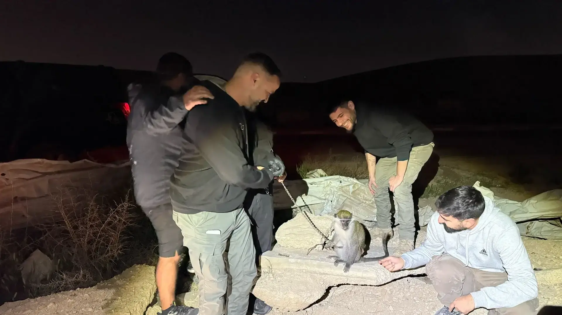 חילוץ הקוף הפצוע מהפזורה הבדואית חילוץ הקוף הפצוע מהפזורה הבדואית