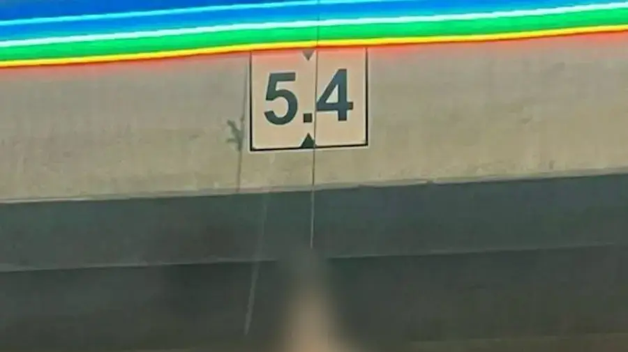 צבוע מת נתלה על גשר בנאות חובב. 