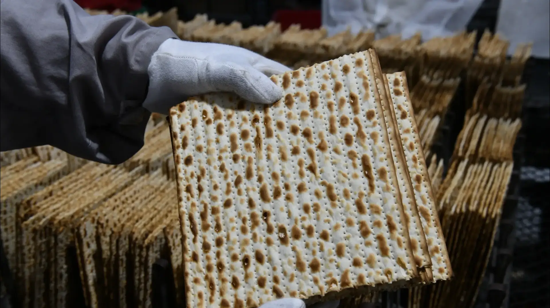 אפיית מצות, פסח תשפ"ה, מצות אביב, 26 במרץ 2025