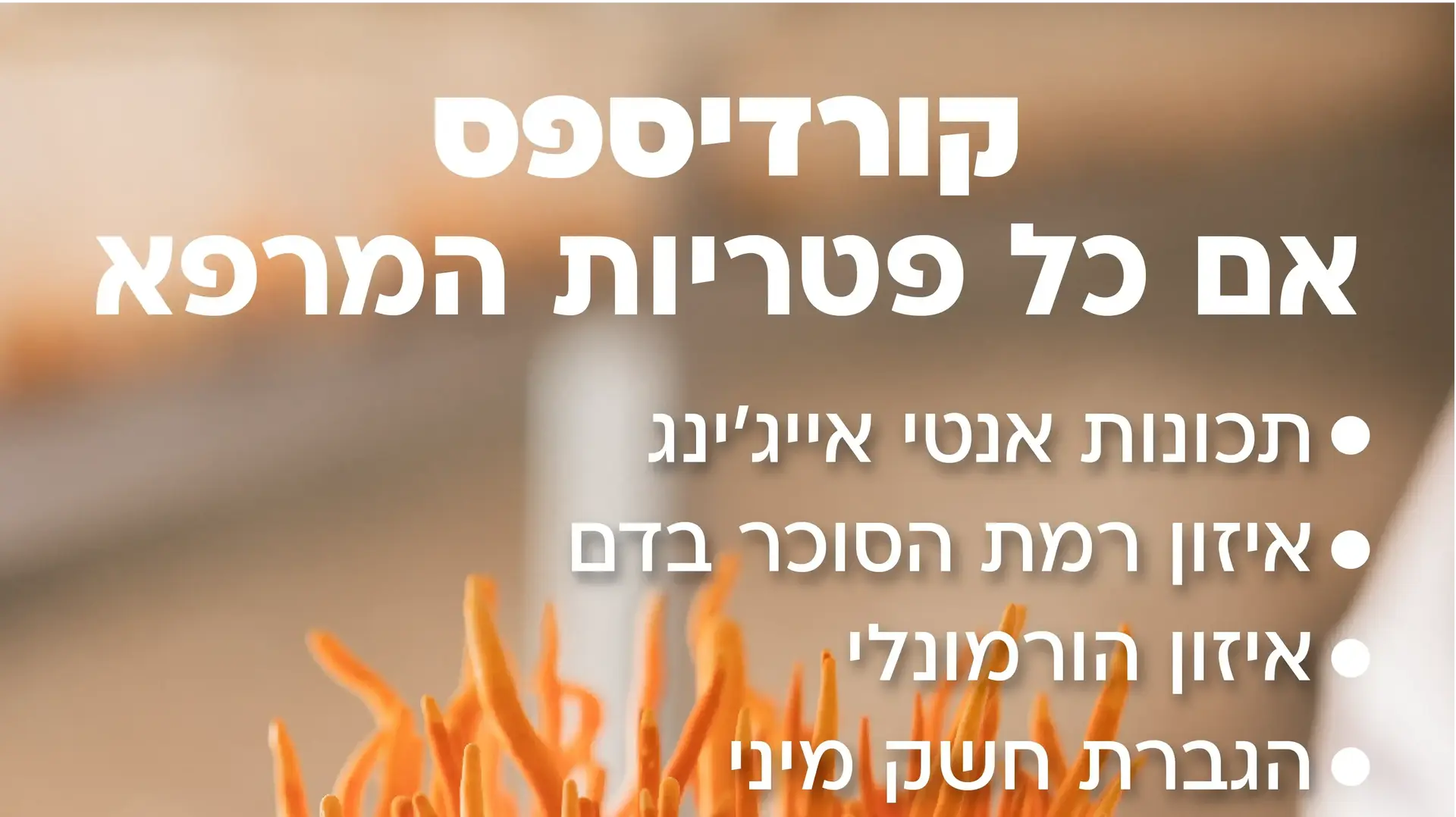 קורדיספס תכונות קורדיספס תכונות