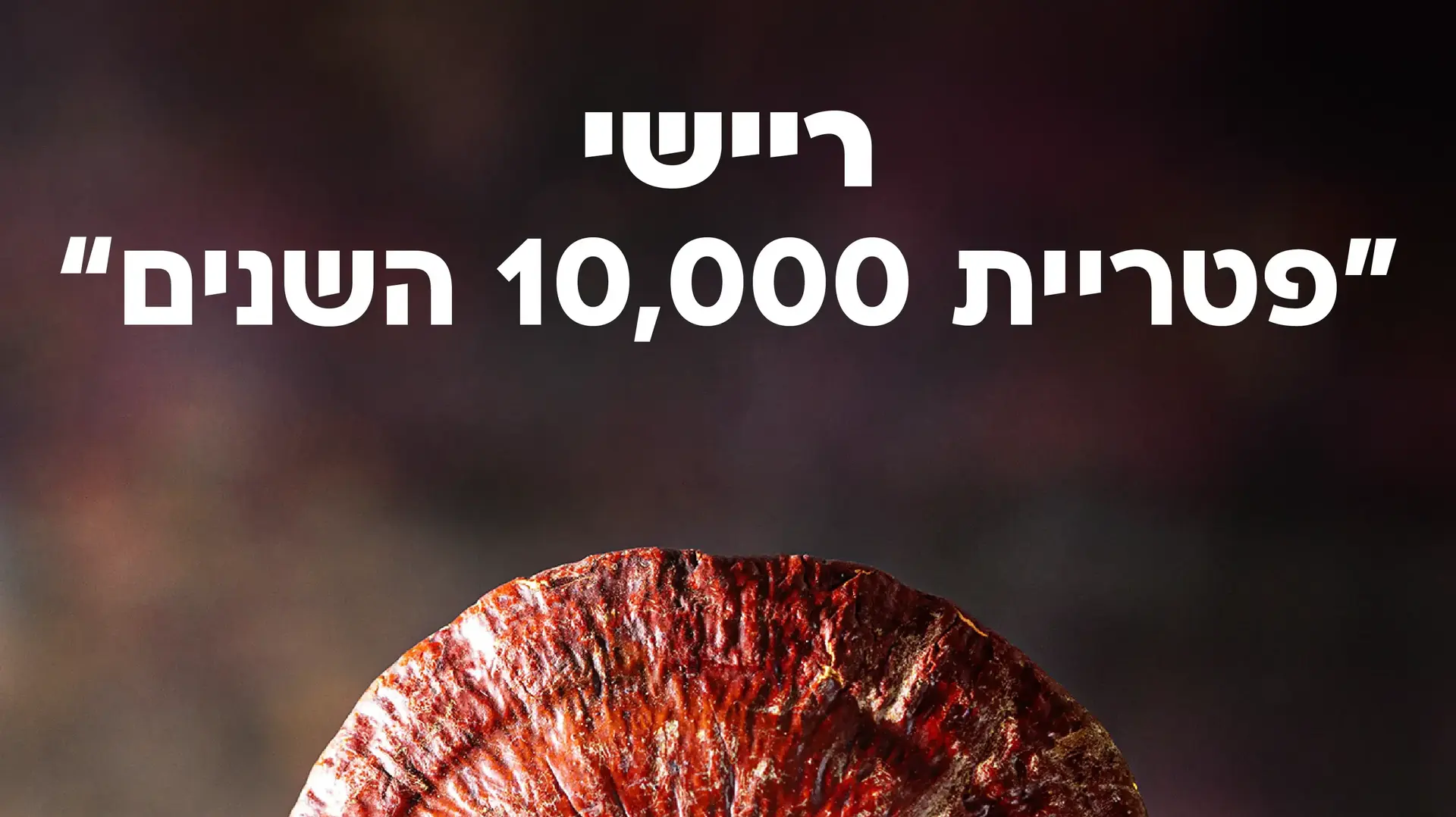 ריישי תכונות ריישי תכונות