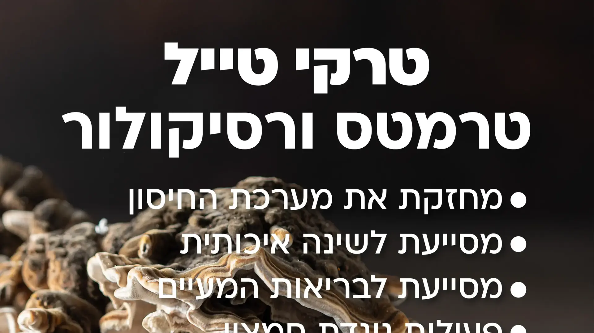 טרקי טייל נתונים טרקי טייל נתונים