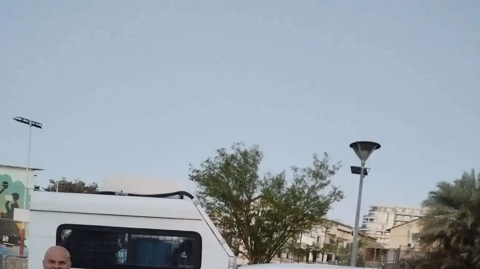 עיריית אילת לכדה כ-200 חתולים באיזור המלונות עיריית אילת לכדה כ-200 חתולים באיזור המלונות