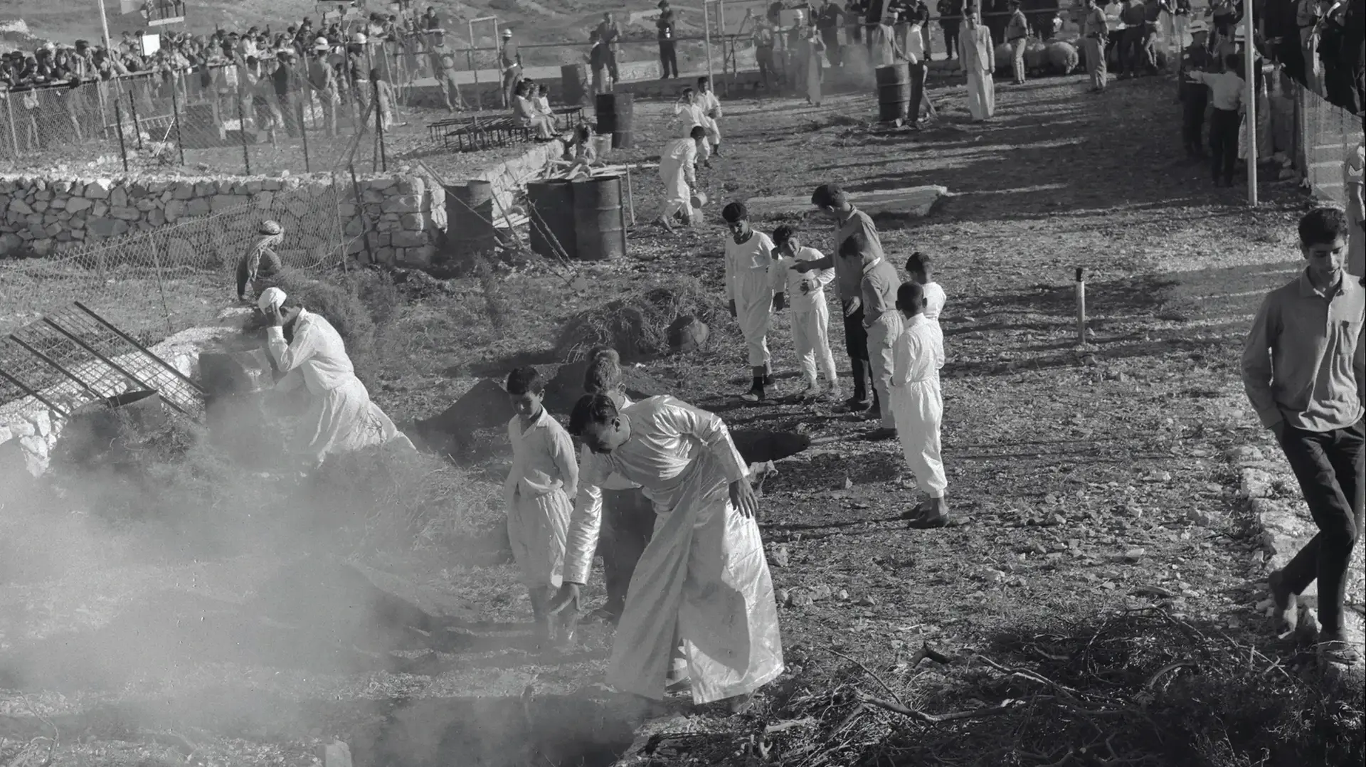 הכנות לזבח הפסח השומרוני בשכם, ארכיון קקל 1971 הכנות לזבח הפסח השומרוני בשכם, ארכיון קקל 1971