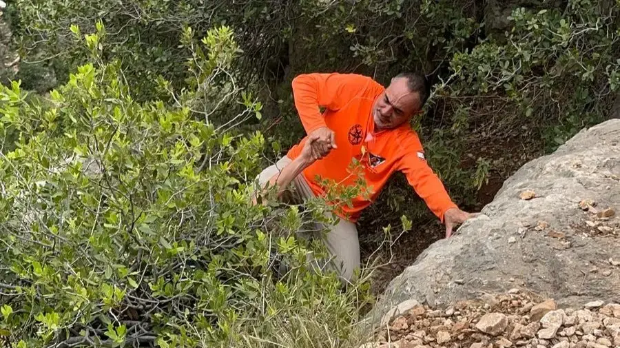 תיעוד של חילוץ מטיילת אמריקנית שנפצעה בנחל עמוד תיעוד של חילוץ מטיילת אמריקנית שנפצעה בנחל עמוד
