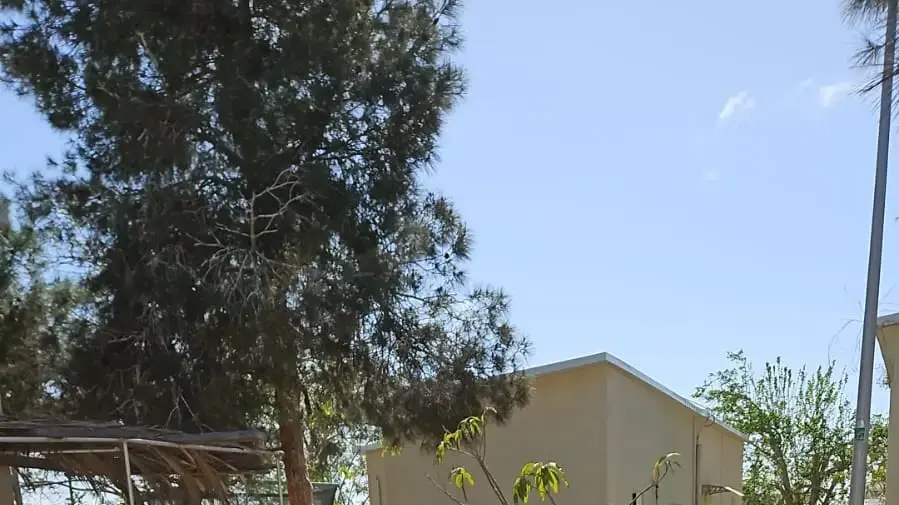 תושבי כרם שלום מתחילים לחזור אל הקיבוץ תושבי כרם שלום מתחילים לחזור אל הקיבוץ