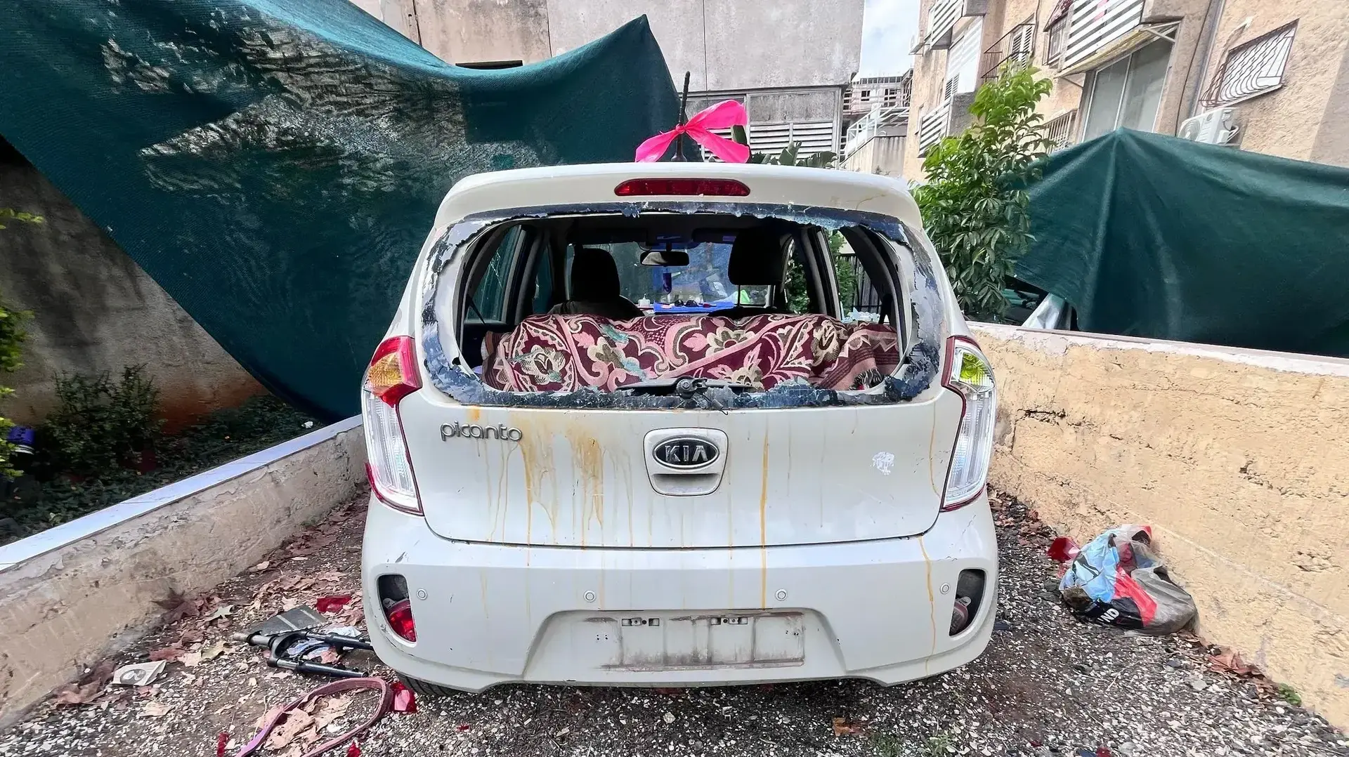 אב ובנו מפתח תקווה נעצרו בחשד שתקפו את שכנתם וניסו לחטוף את הכלבה שלה. אב ובנו מפתח תקווה נעצרו בחשד שתקפו את שכנתם וניסו לחטוף את הכלבה שלה.