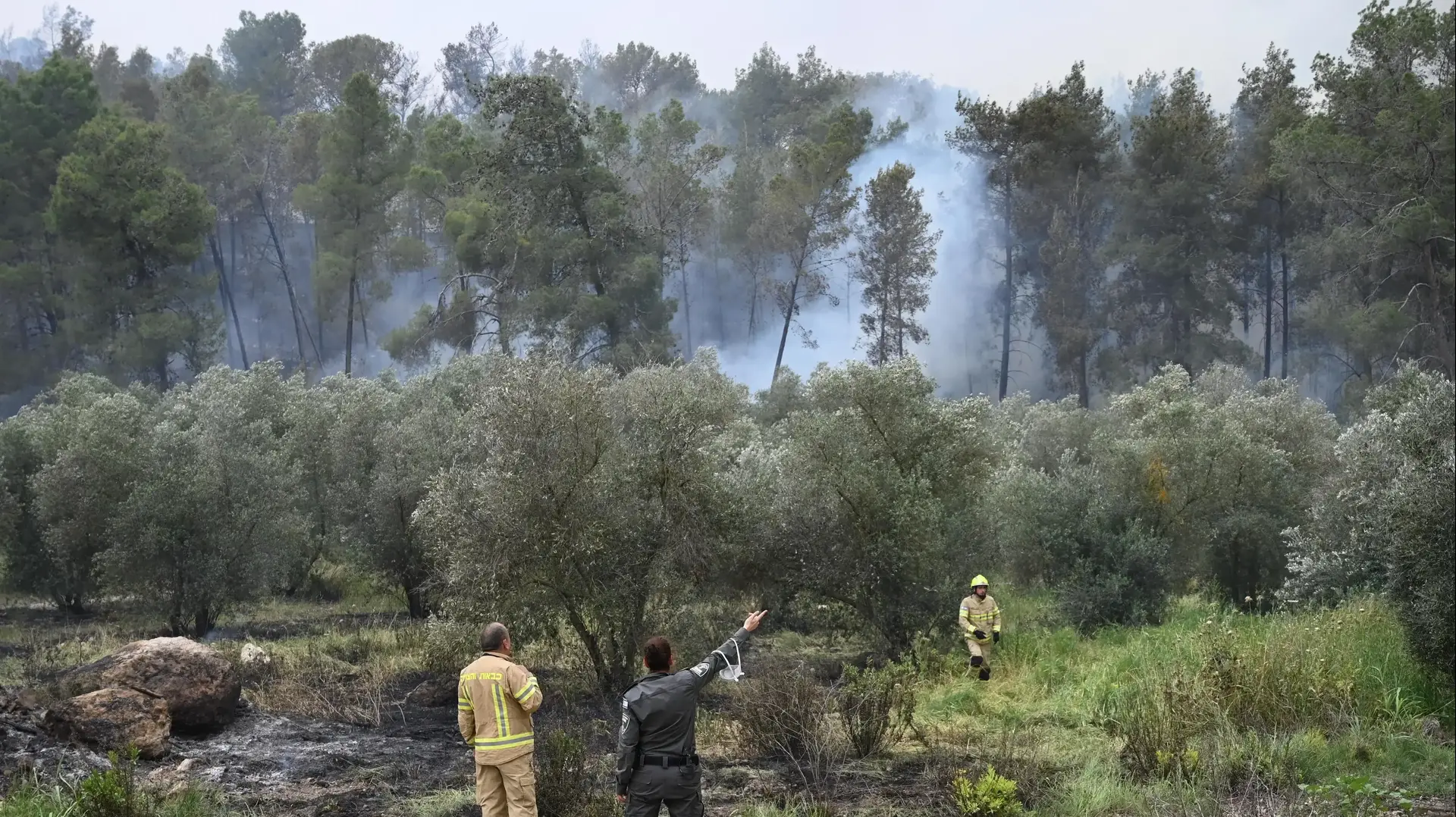 שריפה ביער אשתאול, 23 באפריל 2025 שריפה ביער אשתאול, 23 באפריל 2025