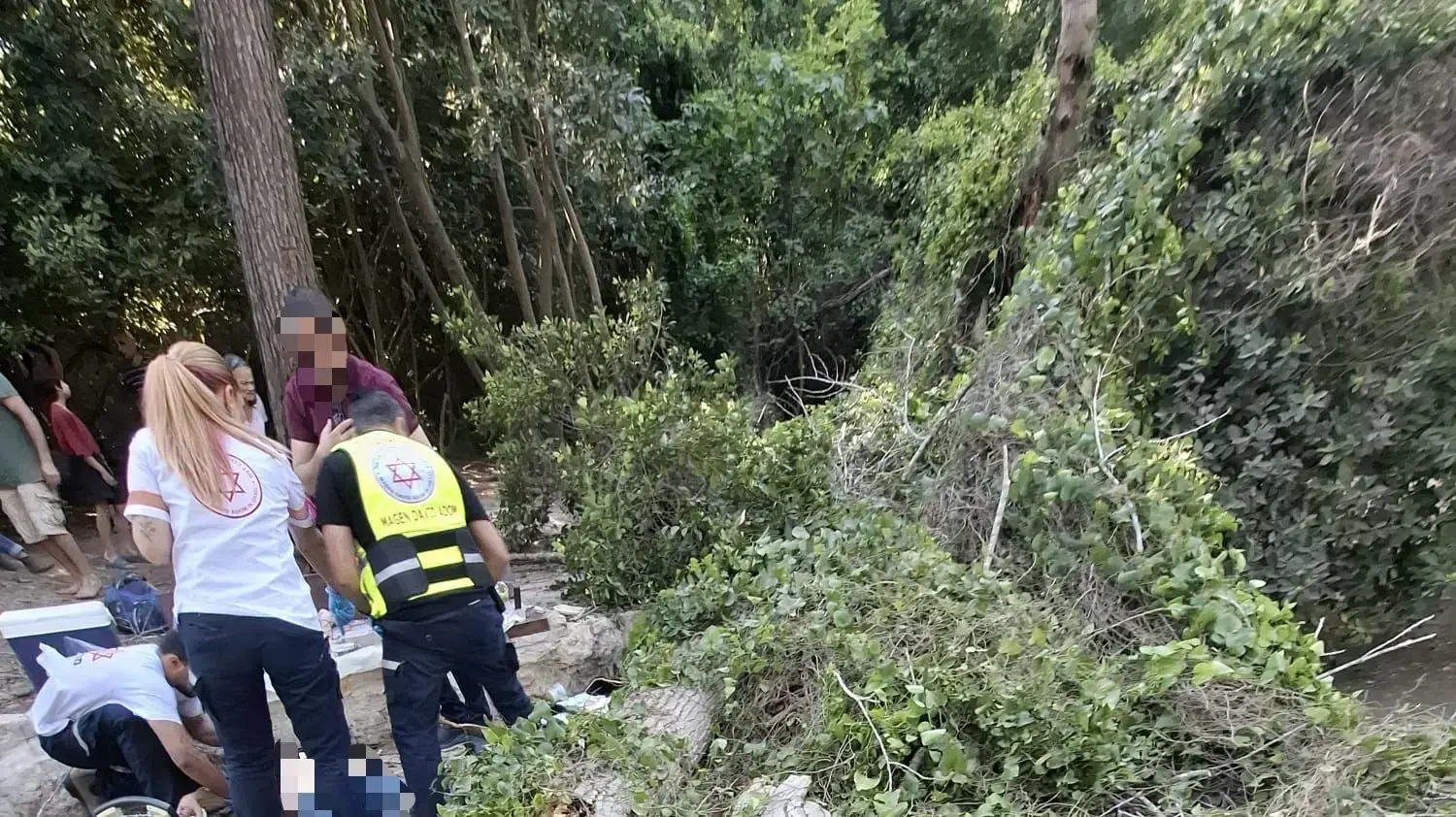 תינוקת ושני מבוגרים נפצעו מנפילת עץ בנחל השופט, 25 באפריל 2025 תינוקת ושני מבוגרים נפצעו מנפילת עץ בנחל השופט, 25 באפריל 2025