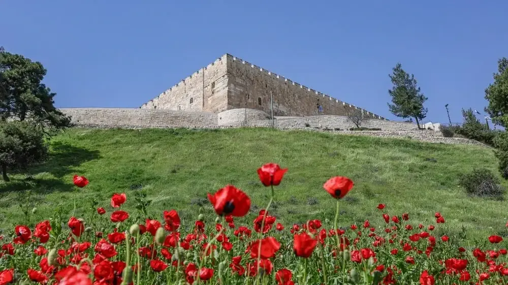 סיורי טבע בירושלים סיורי טבע בירושלים