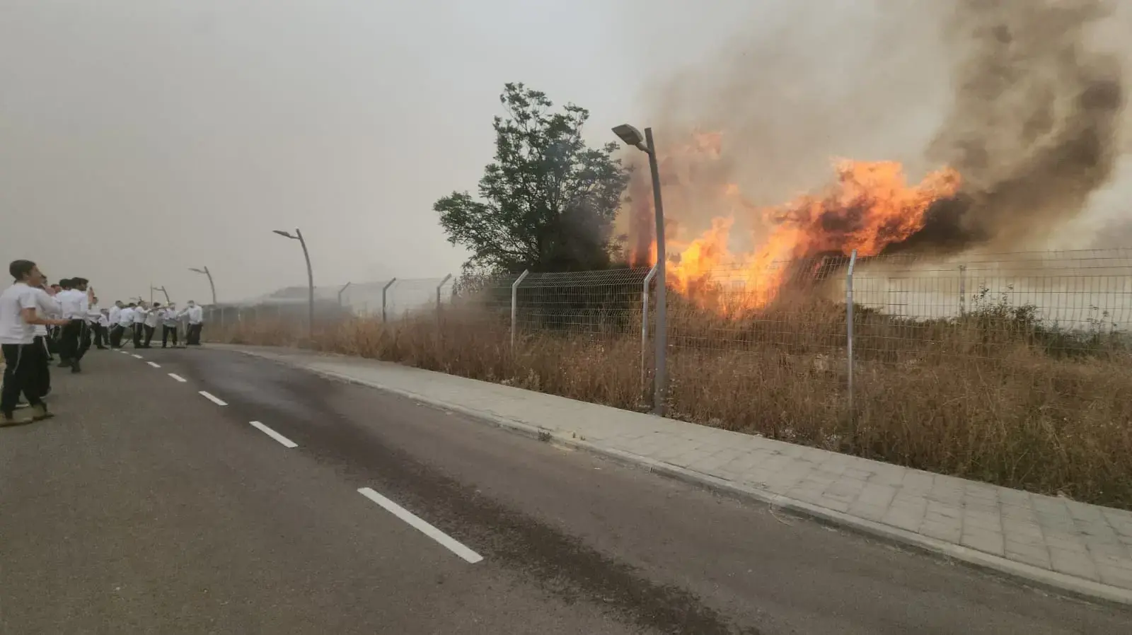 השריפה המשתוללת ביער קולה הסמוך לעיר אלעד, 30 באפריל 2025 השריפה המשתוללת ביער קולה הסמוך לעיר אלעד, 30 באפריל 2025