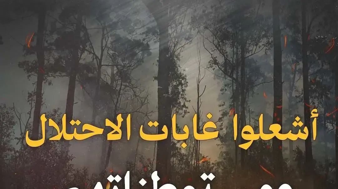 "הבעירו את יערות הכיבוש והתנחלויותיו" - כרזה המעודדת הצתת שריפות בשטח ישראל "הבעירו את יערות הכיבוש והתנחלויותיו" - כרזה המעודדת הצתת שריפות בשטח ישראל