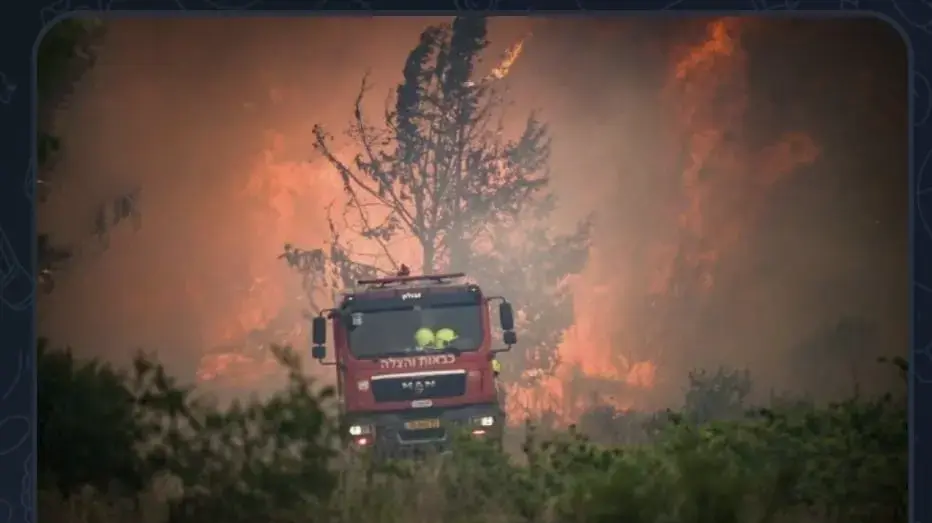 תרדום מערבית: "עבור הילדים שנשרפו, עבור הנשים שנקרעו לגזרים, עבור הדם שנשפך, עבור אלו שהושמדו ועבור עזה שאף פעם לא המעטתם בתמיכתכם אליה - צאו עכשיו ותשרפו את היערות והעצים הקרובים להתנחלויות" תרדום מערבית: "עבור הילדים שנשרפו, עבור הנשים שנקרעו לגזרים, עבור הדם שנשפך, עבור אלו שהושמדו ועבור עזה שאף פעם לא המעטתם בתמיכתכם אליה - צאו עכשיו ותשרפו את היערות והעצים הקרובים להתנחלויות"