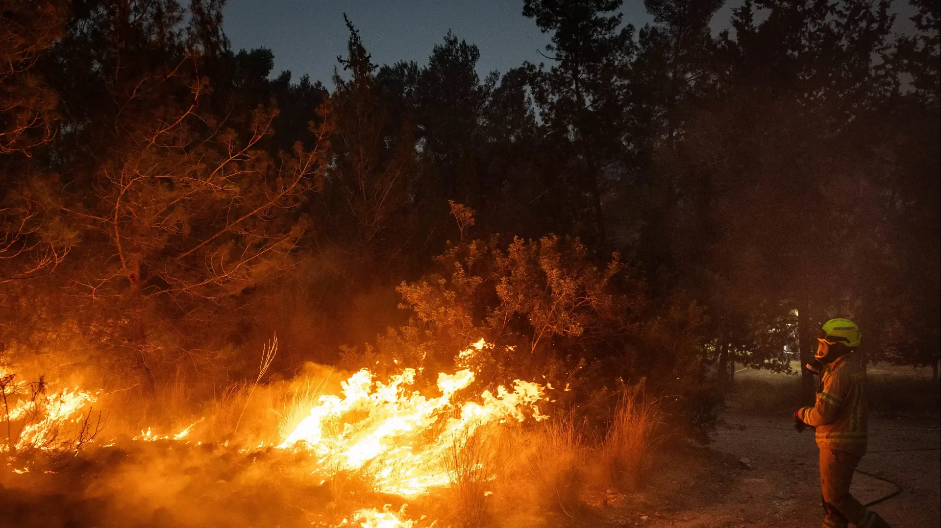 שריפה בפארק קנדה באיזור ירושלים, 30 באפריל 2025