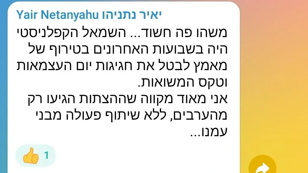יאיר נתניהו, מיאמי, שריפות יאיר נתניהו, מיאמי, שריפות